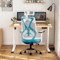 CELLBELL C190 Berlin Ergonomic Mesh Executive  Office & Home Chair (Copy) Cellbell