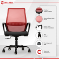 CELLBELL Desire Pro Mid Back Mesh Office Chair CellBell