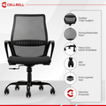 CELLBELL Desire Pro Mid Back Mesh Office Chair CellBell