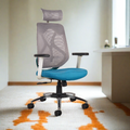 CELLBELL C190 Berlin Ergonomic Mesh Executive  Office & Home Chair CellBell