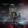 Alpha Series | DC Edition Gaming Chairs CellBell